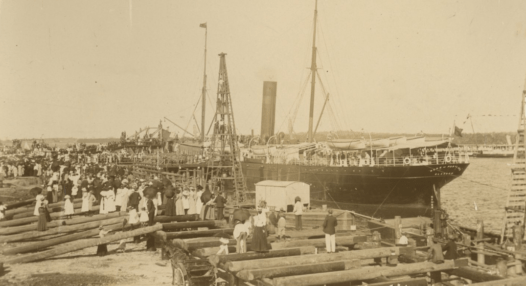 Timber at Brett's Wharf, circa 1900